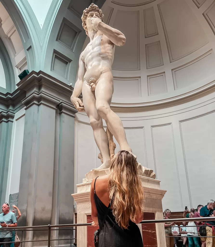 Michelangelo's David Statue in the art museum